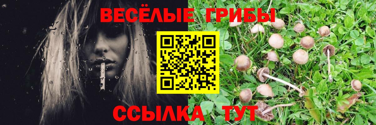 Галлюциногенные грибы прущие грибы Кропоткин
